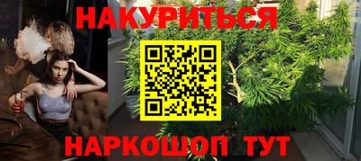 прущие крисы Северобайкальск