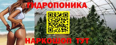 прущие крисы Северобайкальск