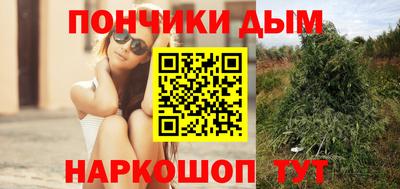 прущие крисы Северобайкальск
