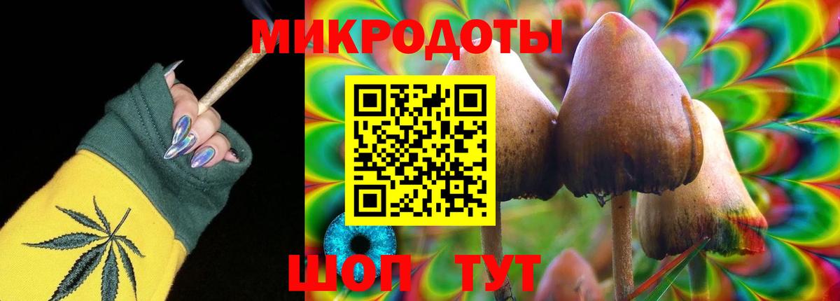 Псилоцибиновые грибы MAGIC MUSHROOMS Ртищево